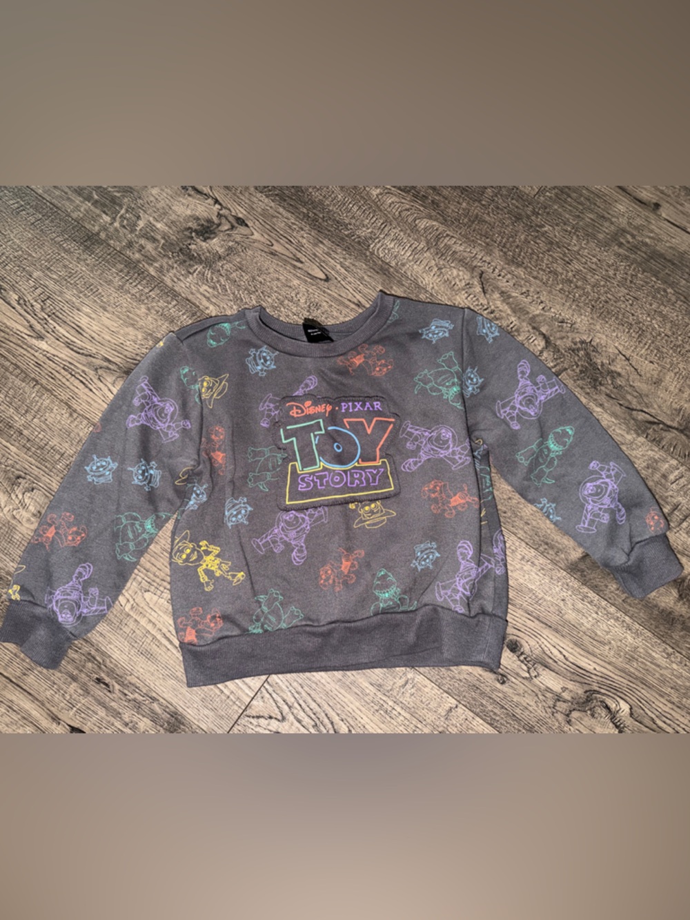 Disney Grey Sweatshirt with Multicolor Toy Story Graphics